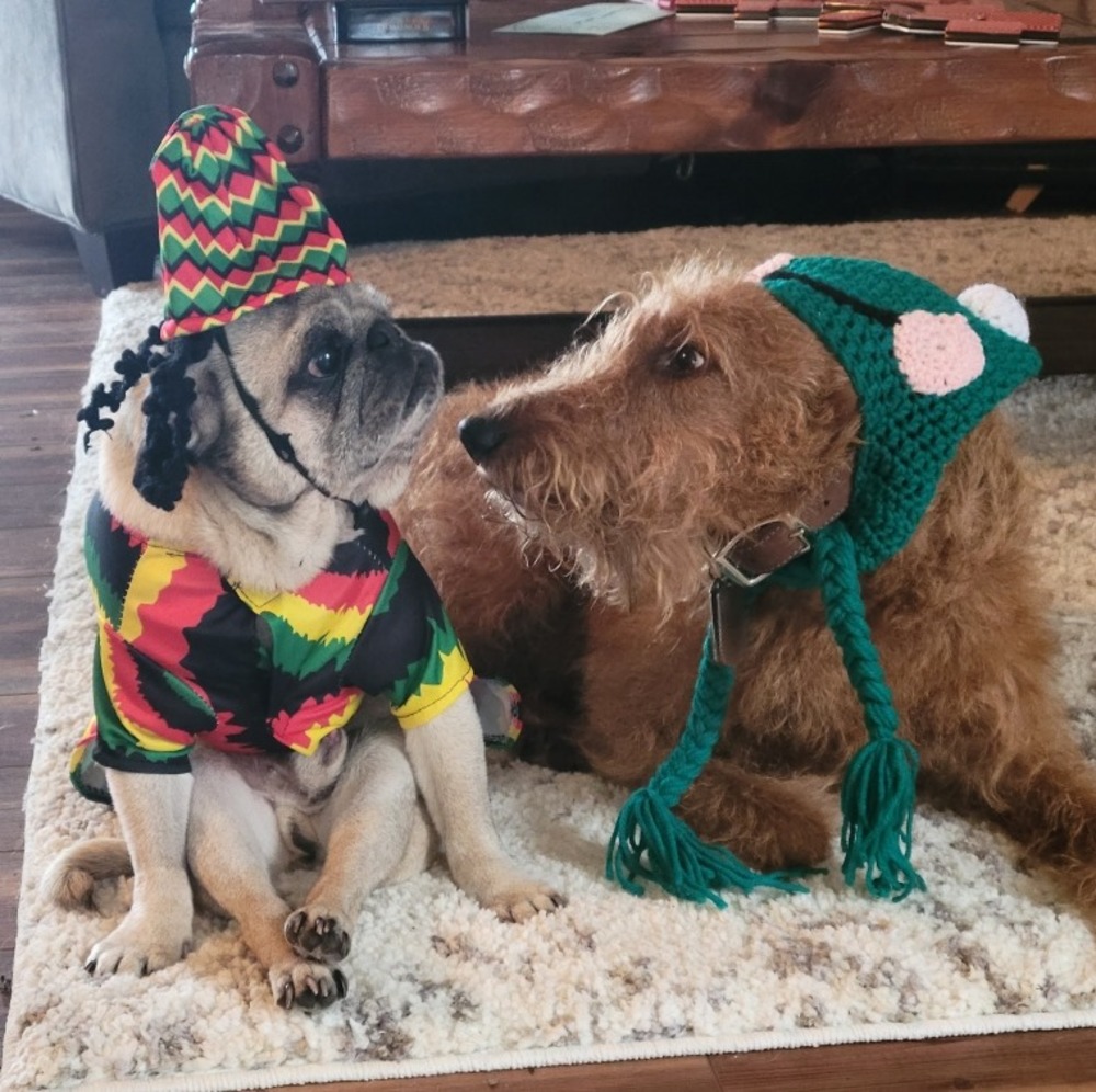 Meet your Posher, Gs